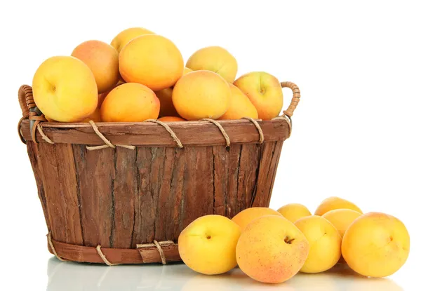Fresh natural apricot in basket isolated on white — Stock Photo, Image