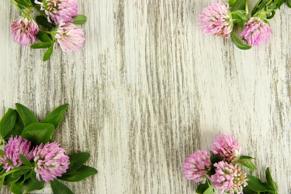 Clover flowers on wooden background — Stock Photo, Image