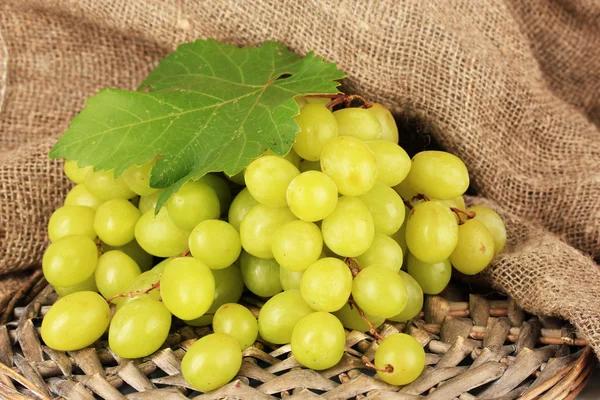 Ripe delicious grapes on table close-up — Stock Photo, Image