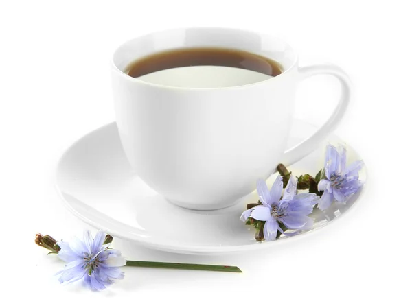 Taza de té con achicoria, aislada sobre blanco — Foto de Stock