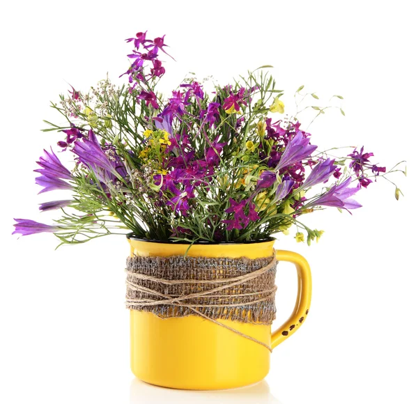 Beautiful bouquet of wildflowers in cup, isolated on white — Stock Photo, Image