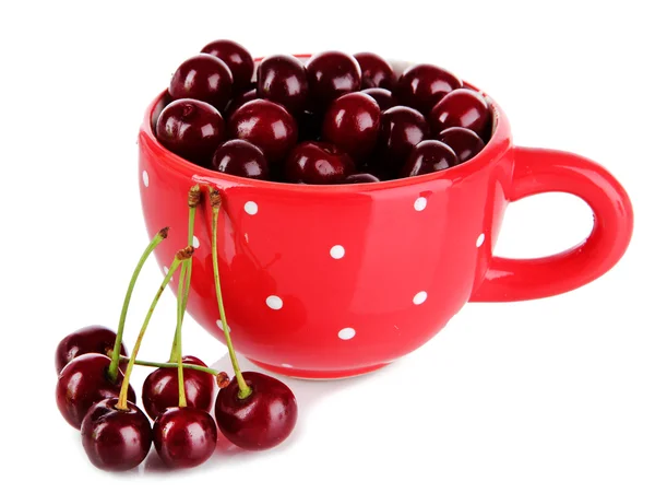 Sweet cherry in cup isolated on white — Stock Photo, Image