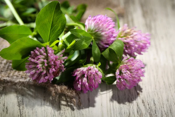 Clover flowers with leaves on wooden background — Stock Photo, Image