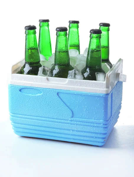 Bottles of beer with ice cubes in mini refrigerator, isolated on white — Stock Photo, Image