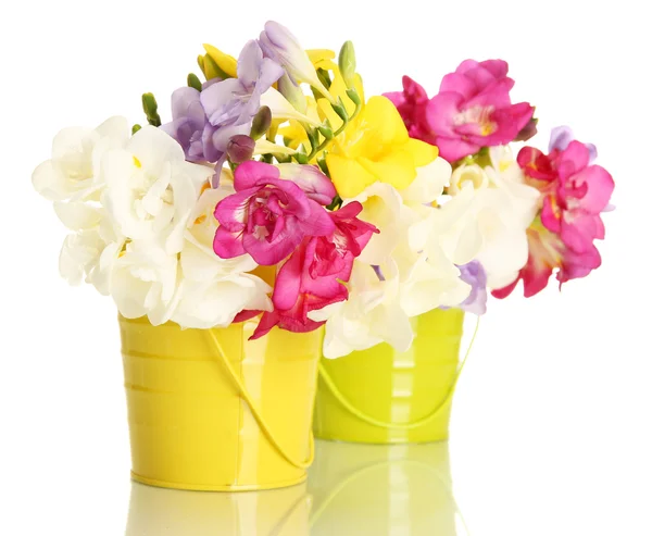 Beautiful bouquet of freesias in pails, isolated on white — Stock Photo, Image
