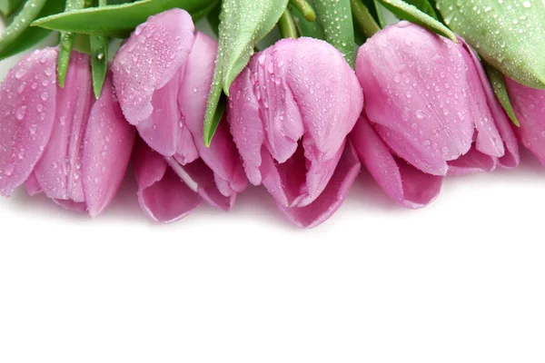 Beautiful bouquet of purple tulips, isolated on white — Stock Photo, Image