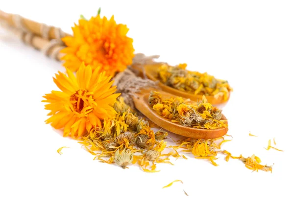 Fresh and dried calendula flowers in wooden spoons isolated on white — Stock Photo, Image