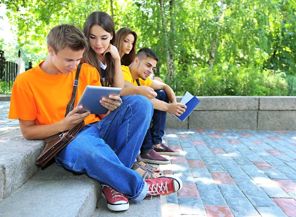 Feliz grupo de jóvenes estudiantes sentados en el parque — Foto de Stock