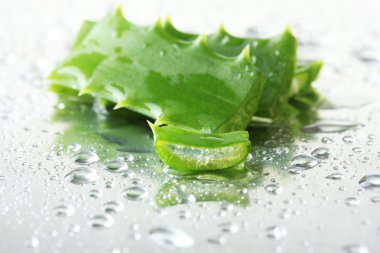 Aloe yaprakları damla ile yakın çekim
