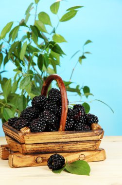 Olgun böğürtlen sepeti doğal zemin üzerine ahşap tablo