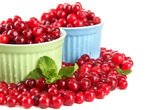 成熟的红色蔓越莓中碗，隔绝对惠特 — 图库照片