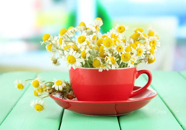 Buquê de flores de camomila na xícara, no fundo brilhante — Fotografia de Stock