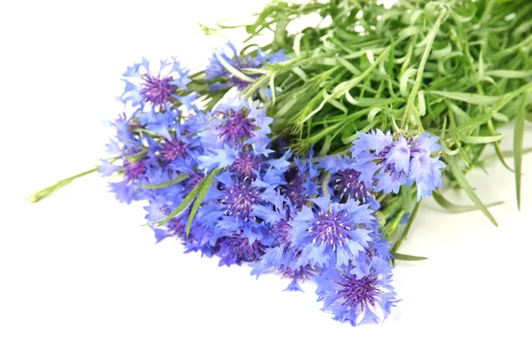 Beautiful bouquet of cornflowers, isolated on white — стоковое фото