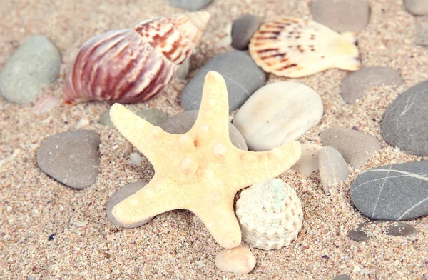 砂の背景に海の石 — ストック写真