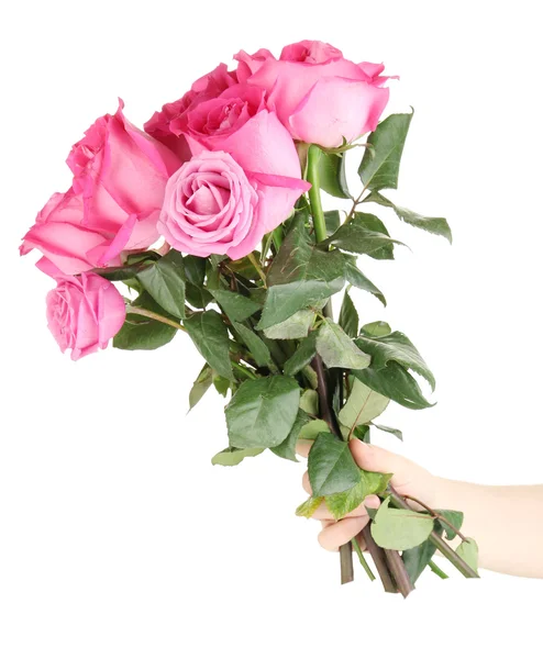 Beautiful pink roses in hand isolated on white — Stock Photo, Image