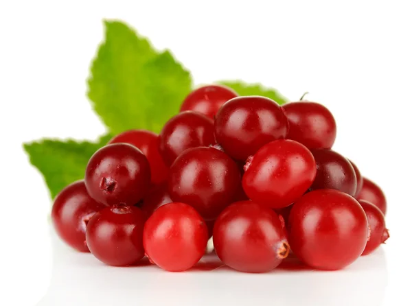 Ripe red cranberries, isolated on whit — Stock Photo, Image