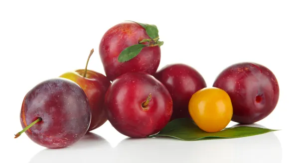 Ripe plums isolated on white — Stock Photo, Image