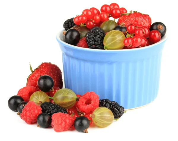 Ripe berries in bowl isolated on white — Stock Photo, Image