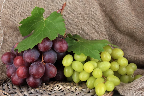 Uvas maduras deliciosas em close-up de mesa — Fotografia de Stock