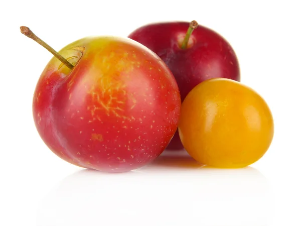 Ripe plums isolated on white — Stock Photo, Image