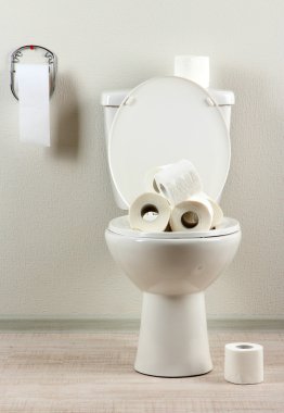 Banyoda tuvalet kağıdı olan beyaz klozet.
