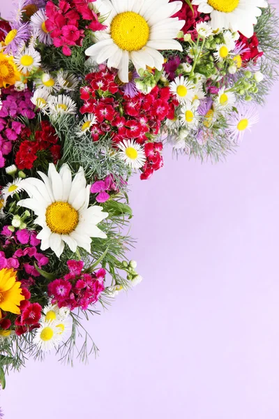 Beautiful bright flowers on purple background — Stock Photo, Image