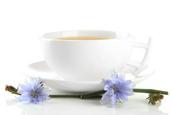Xícara de chá com chicória, isolado em branco — Fotografia de Stock