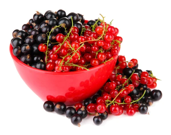 Red and black currant in bowl isolated on white — Stock Photo, Image