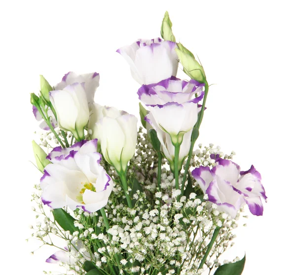 Ramo de flores de eustoma aisladas en blanco — Foto de Stock