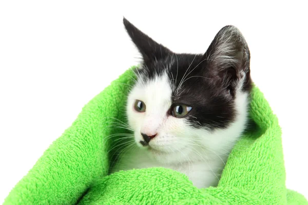 Small kitten in green towel isolated on white — Stock Photo, Image