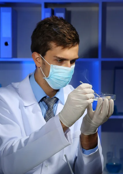 Jonge laboratorium wetenschapper met petrischaal werken bij lab — Stockfoto