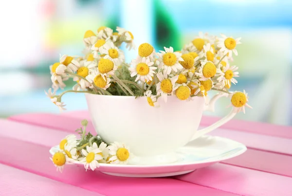 Strauß von Kamillenblüten in Tasse, auf hellem Hintergrund — Stockfoto