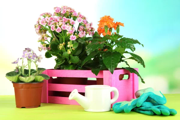 Tencere doğal zemin üzerine ahşap masa üzerine güzel çiçekler