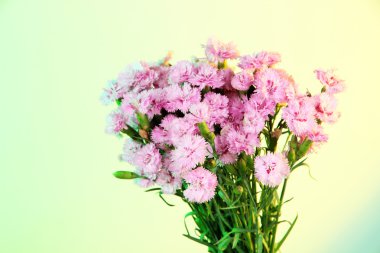 Açık yeşil-sarı tonda üzerinde birçok küçük pembe karanfil