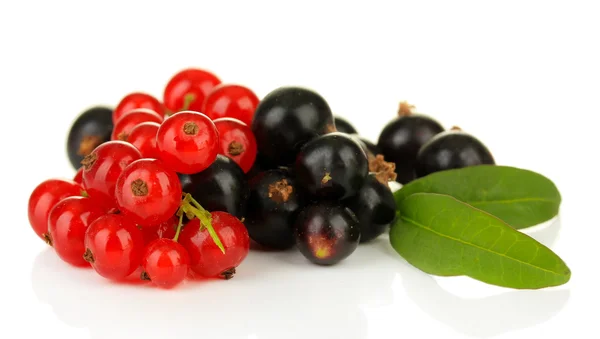 Red and black currant isolated on white — Stock Photo, Image