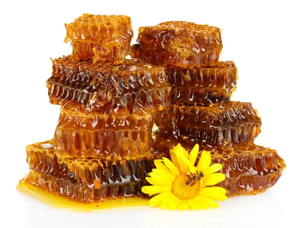 tatlı Petek Bal, arı çiçek, üzerinde beyaz izole