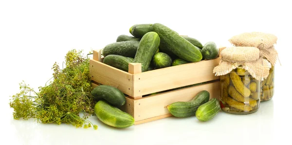 Färska gurkor i trälåda, pickles och dill isolerad på vit — Stockfoto