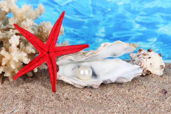 Ostra abierta con perla sobre arena sobre fondo de agua —  Fotos de Stock