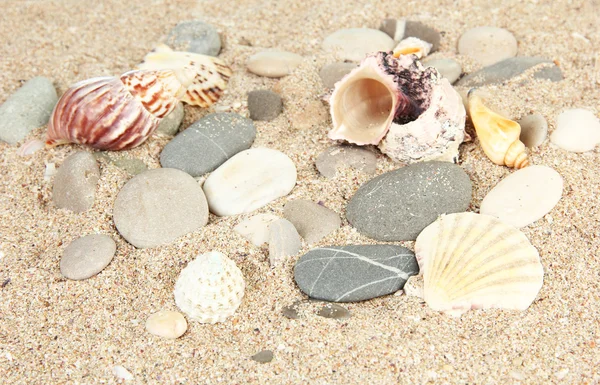 砂の背景に海の石 — ストック写真