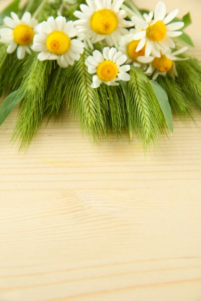 Green spikelets and wild camomiles, on wooden background — Stock Photo, Image