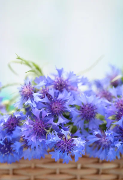 Beautiful bouquet of cornflowers in basket on blue background — Stock Photo, Image