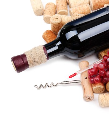 şişe şarap, üzüm ve mantarlar, üzerinde beyaz izole