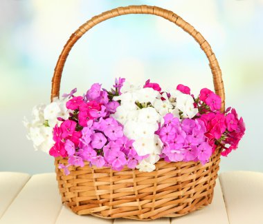 phlox tablo üzerinde açık renkli hasır sepet içinde güzel buket
