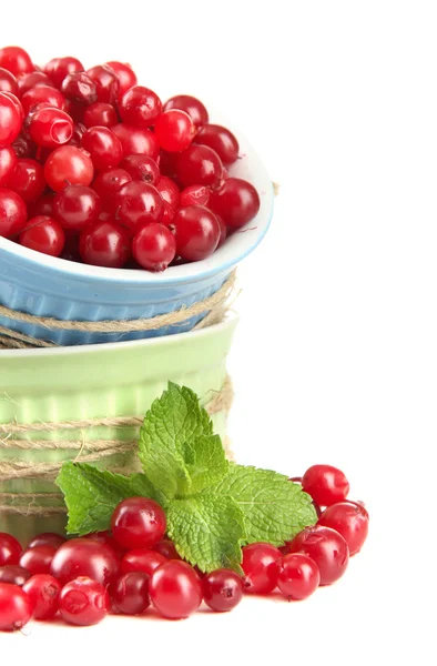 Ripe red cranberries in bowls, isolated on whit — Stock Photo, Image