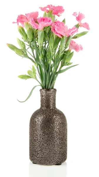 Kytice karafiátů v vázu, izolované na bílém — Stock fotografie