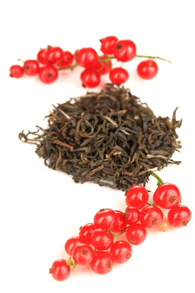 Té seco de bayas aislado en blanco — Foto de Stock