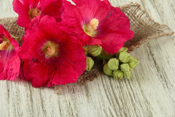 Ahşap zemin üzerinde pembe ebegümeci çiçekler — Stok fotoğraf