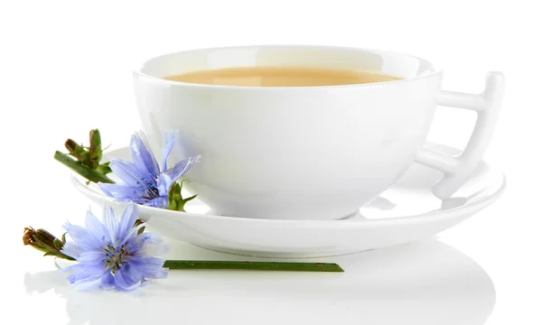 Taza de té con achicoria, aislada sobre blanco —  Fotos de Stock