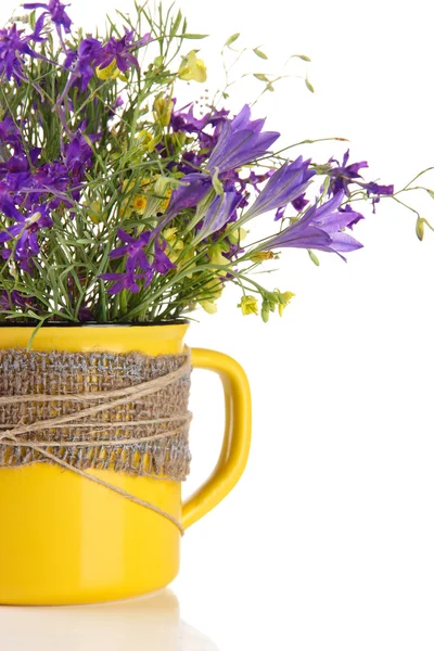 Beautiful bouquet of wildflowers in cup, isolated on white — Stock Photo, Image