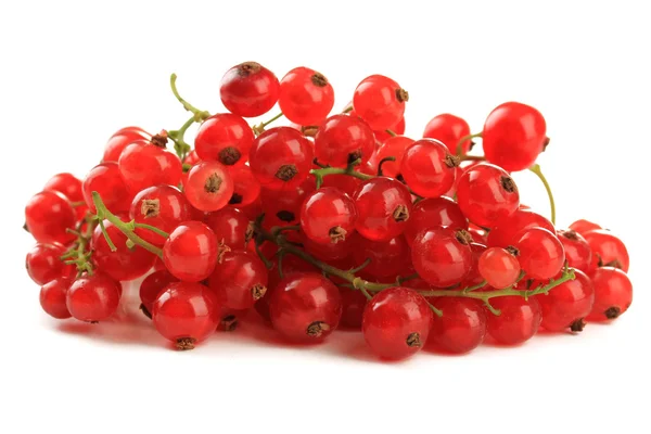 Groseille rouge isolé sur blanc — Photo